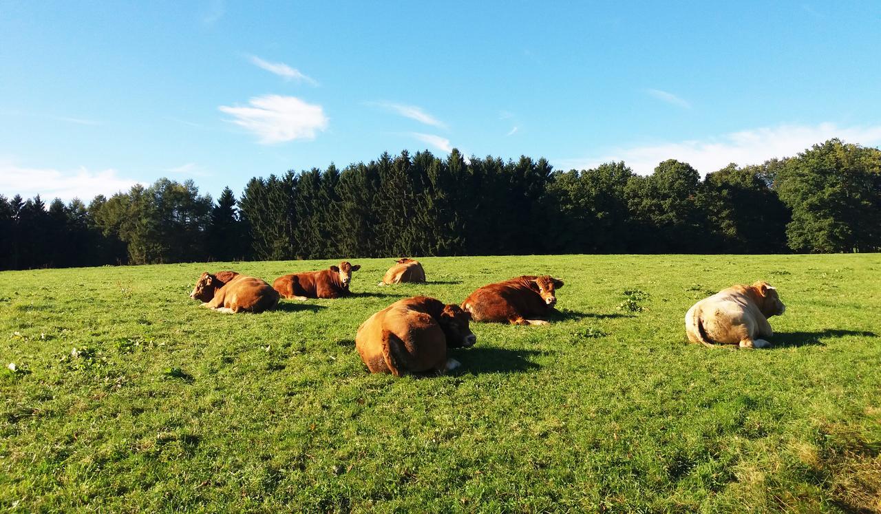 Graefrath Gaestehaus Neunkirchen-Seelscheid Neunkirchen  Esterno foto