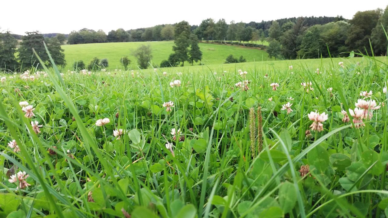 Graefrath Gaestehaus Neunkirchen-Seelscheid Neunkirchen  Esterno foto